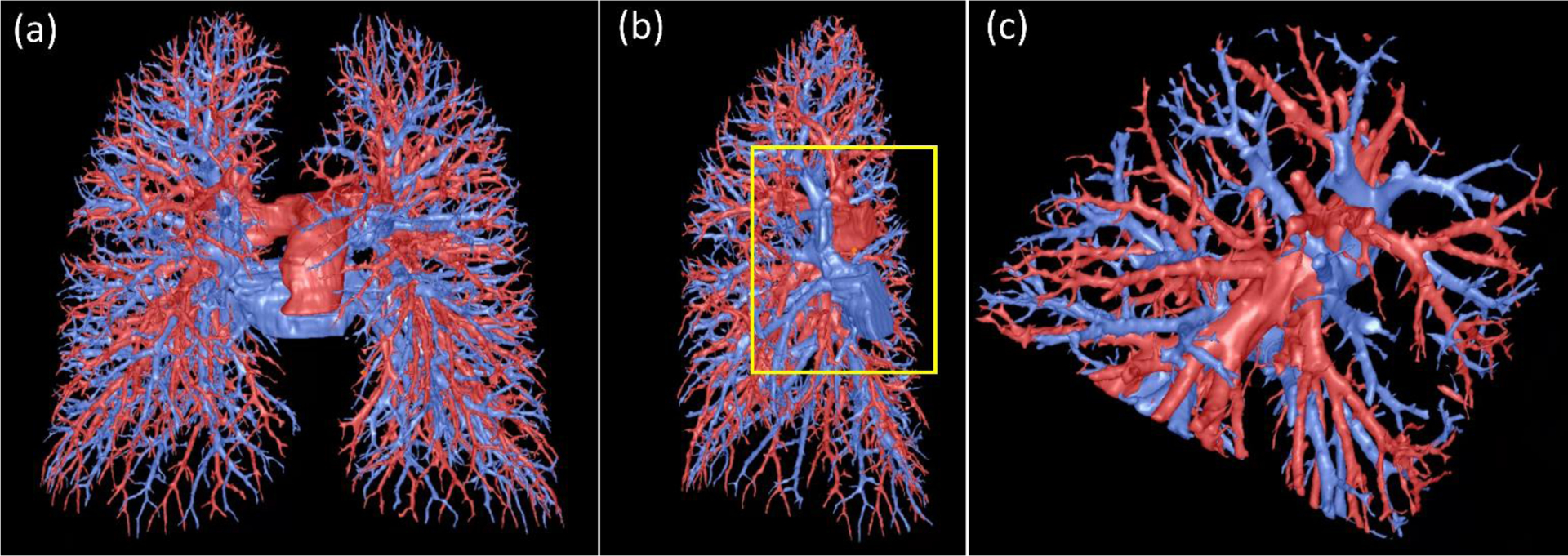 Figure 10.