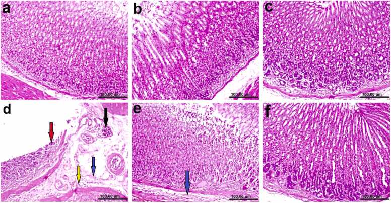 Fig. (4)