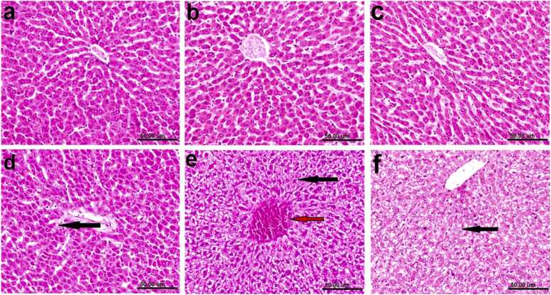 Fig. (5)