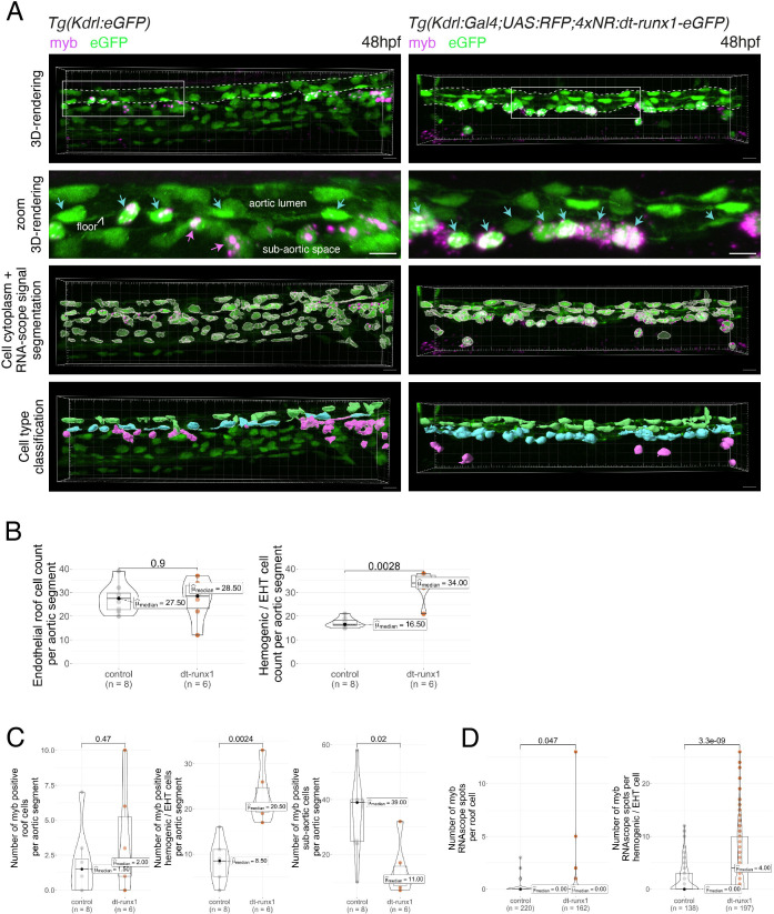 Figure 3—figure supplement 1.