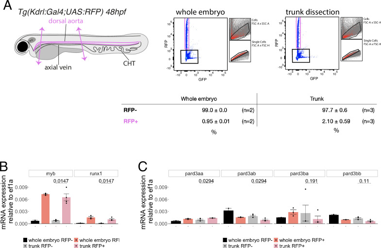 Figure 4—figure supplement 1.