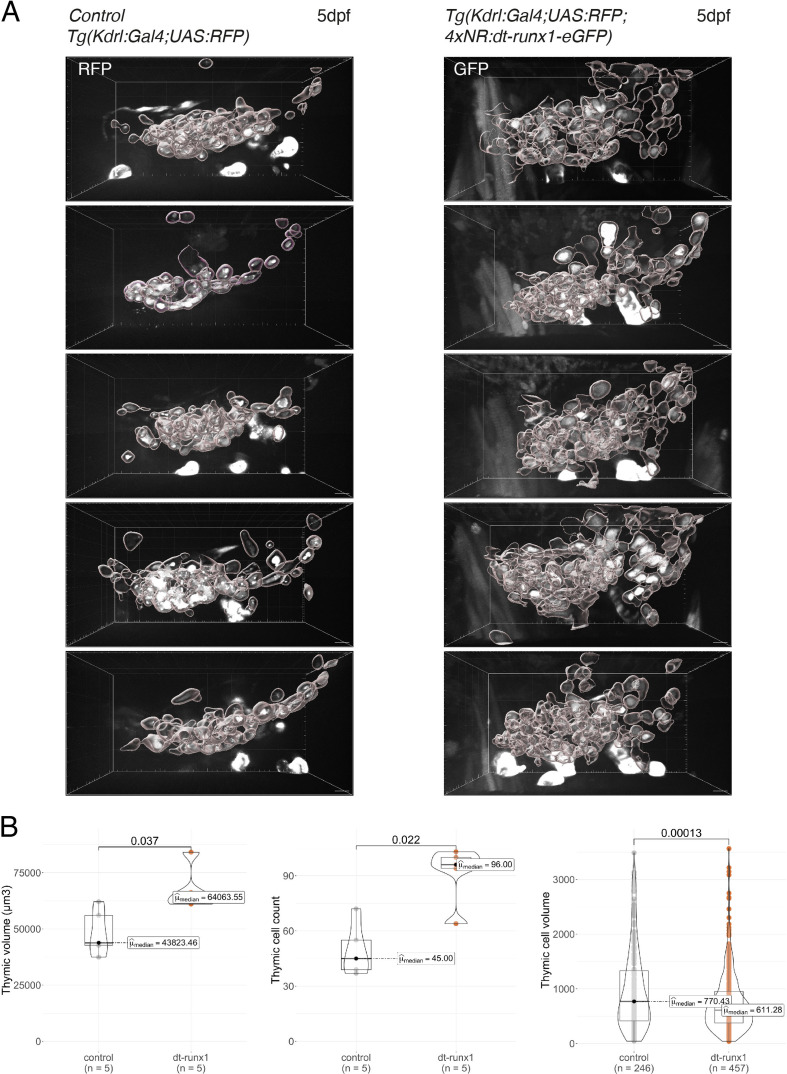 Figure 3—figure supplement 3.