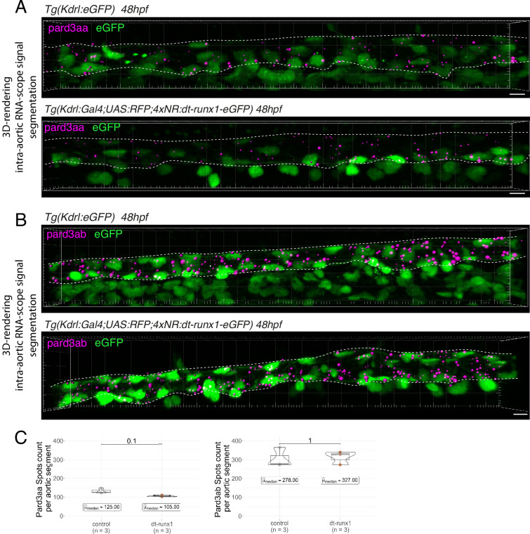 Figure 4—figure supplement 4.