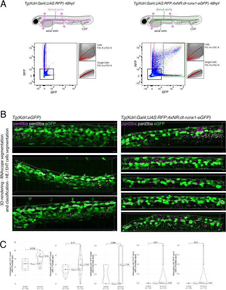 Figure 4—figure supplement 3.