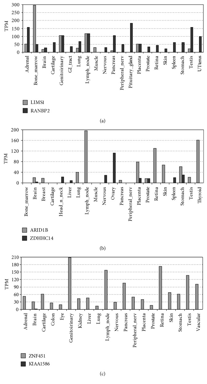 Figure 5