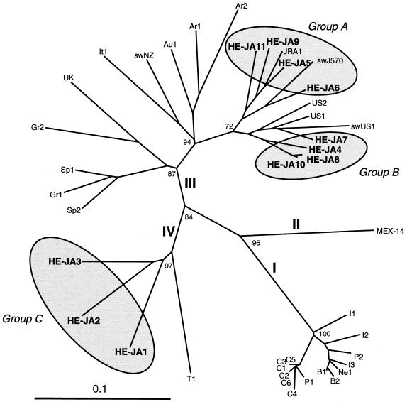 FIG. 2.