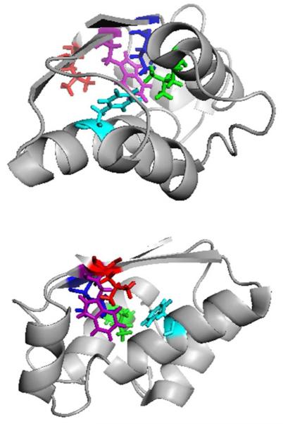 Figure 9