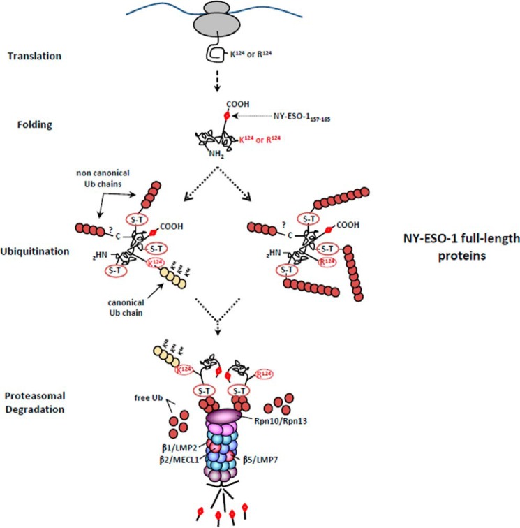 FIGURE 10.