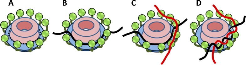 Fig 6