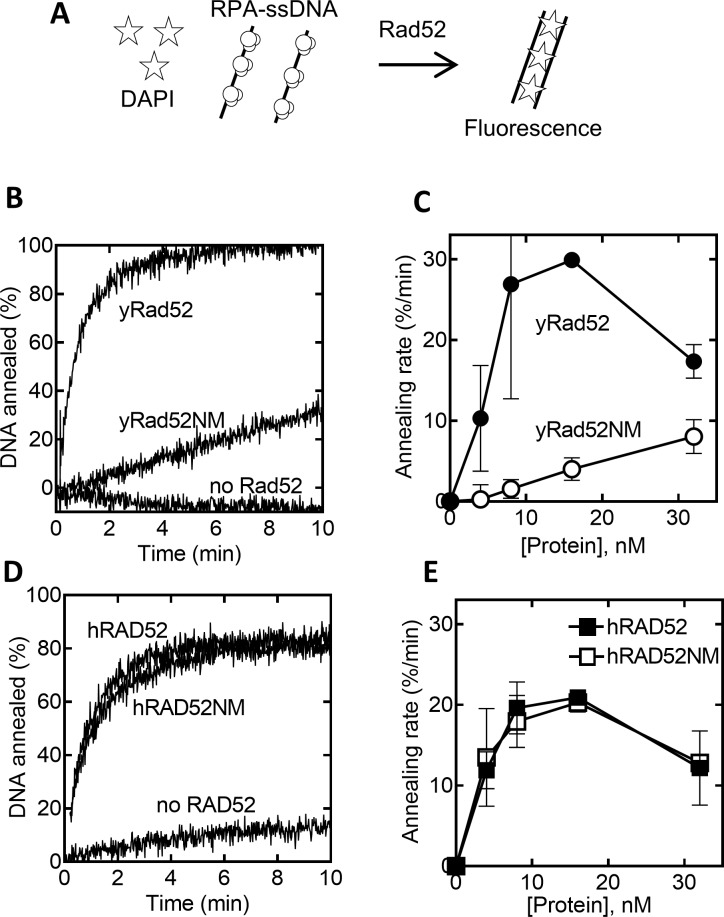 Fig 5