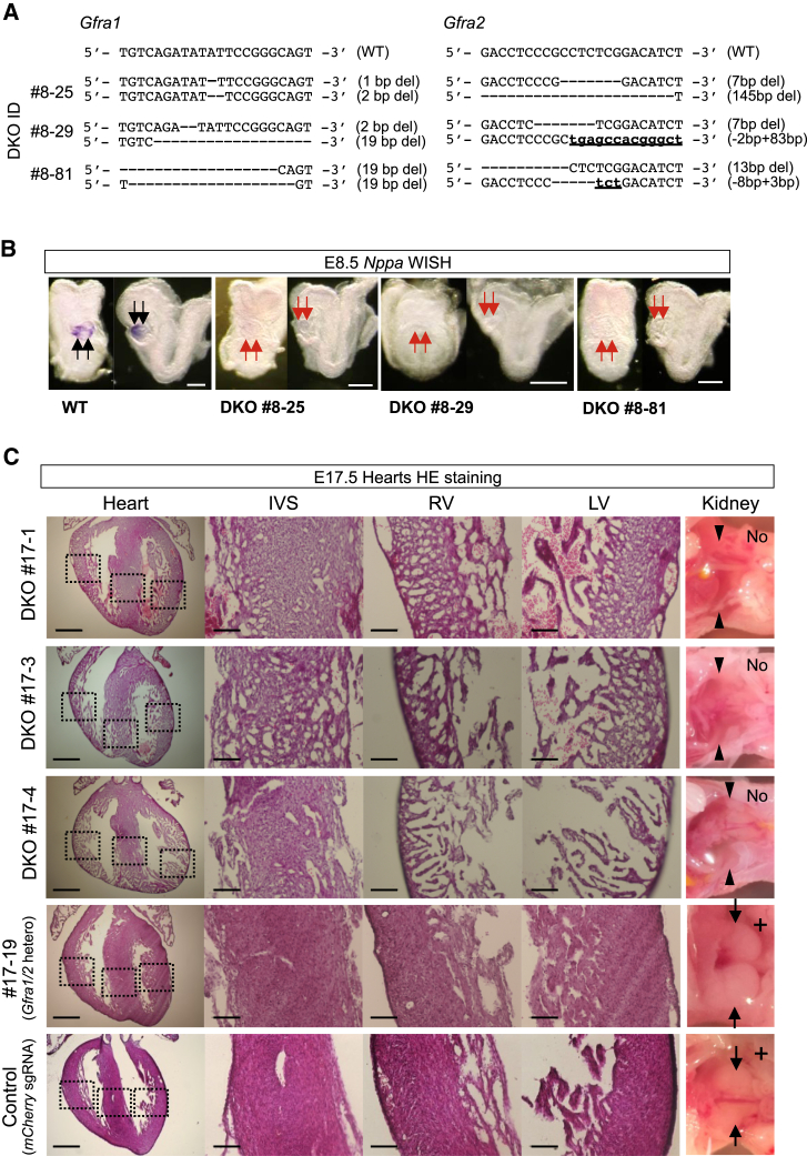 Figure 6