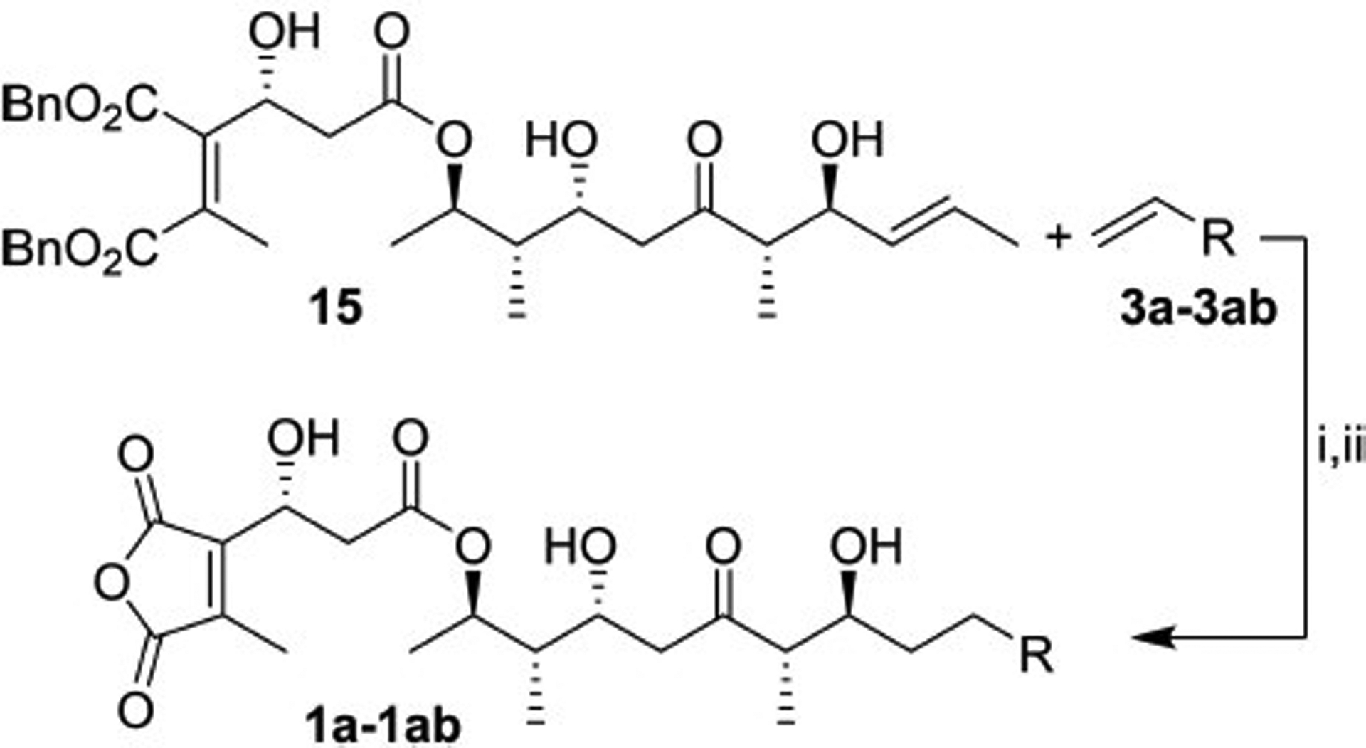 Scheme 5.