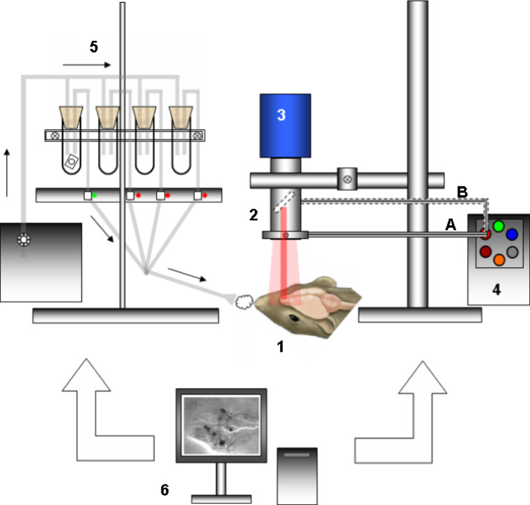 Fig. 4