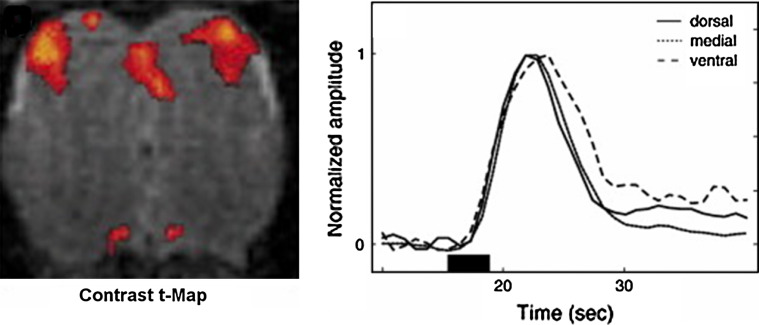 Fig. 3