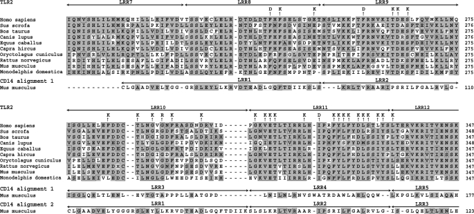 FIGURE 1.