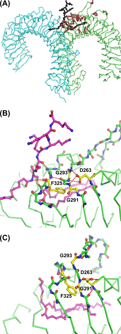 FIGURE 4.