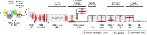 FIGURE 1.