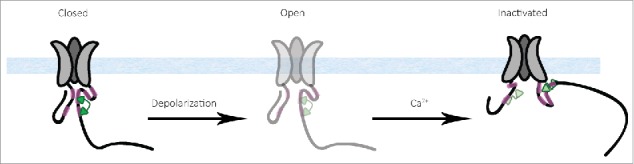 Figure 7.