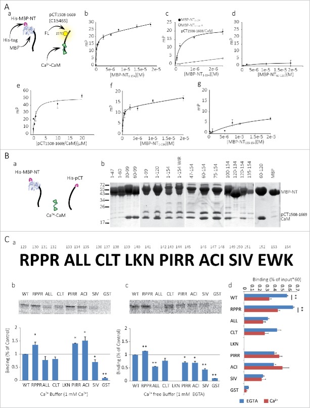 Figure 4 (See previous page).