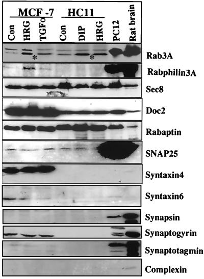 FIG. 8