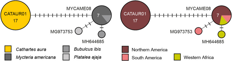 Fig. 12