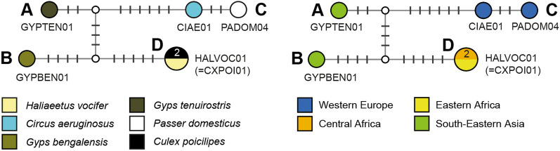 Fig. 8