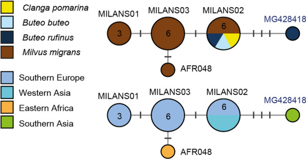 Fig. 10