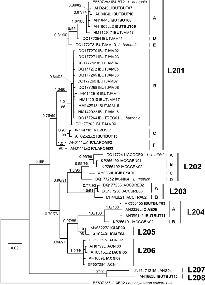 Fig. 3