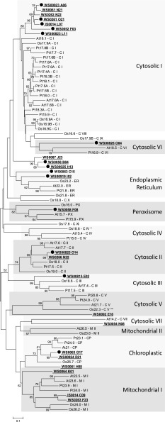 FIG. 6.—