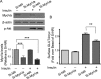 FIGURE 6: