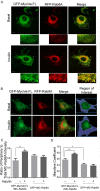 FIGURE 2: