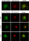 FIGURE 7: