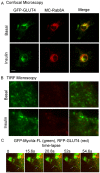 FIGURE 5: