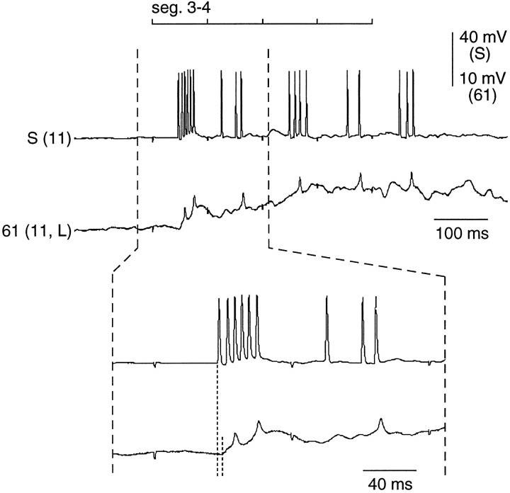 Fig. 7.