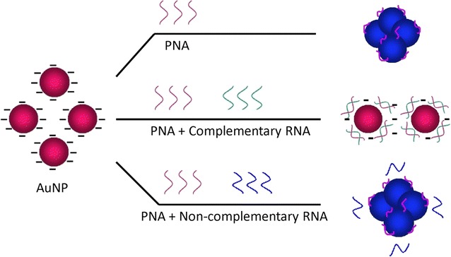 Scheme 1