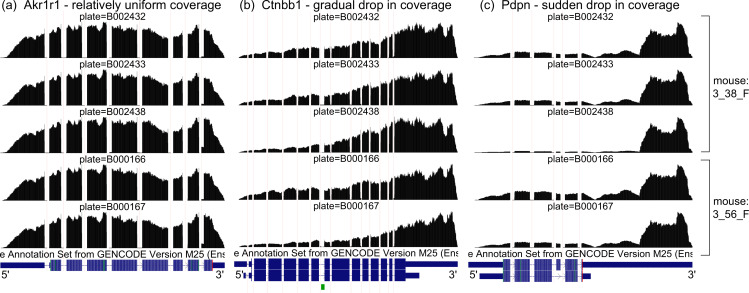 Figure 1—figure supplement 1.