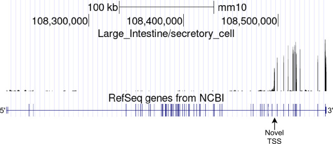 Figure 9—figure supplement 1.