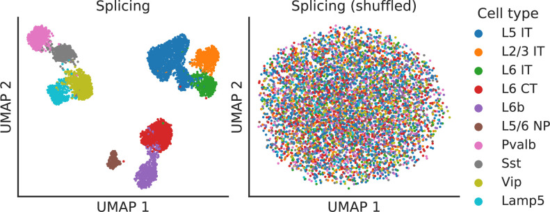 Figure 2—figure supplement 1.