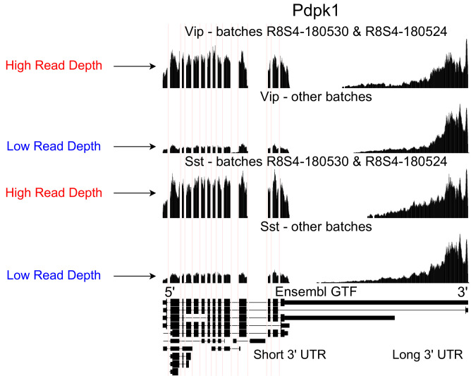 Figure 1—figure supplement 2.