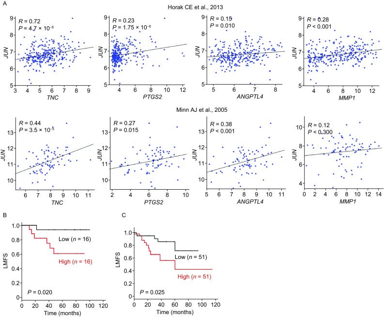 Figure 6