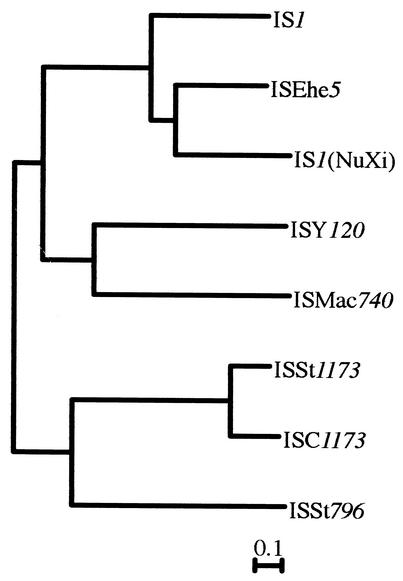 FIG. 3.