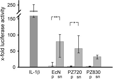 FIG. 1.