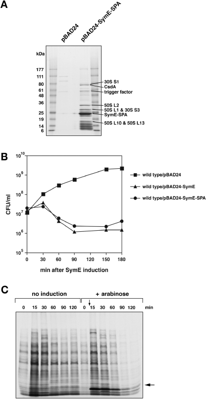 Fig. 4