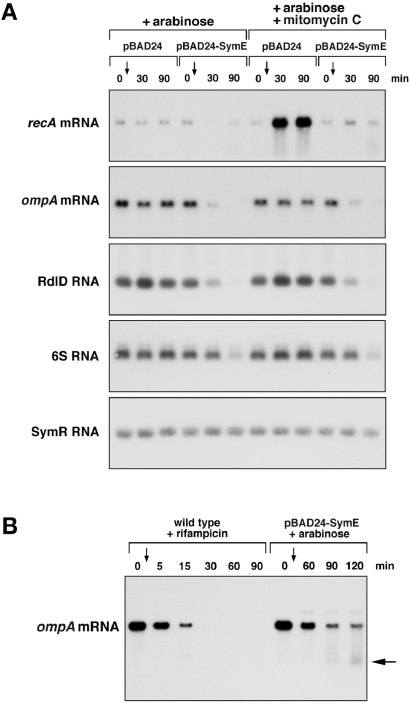 Fig. 5