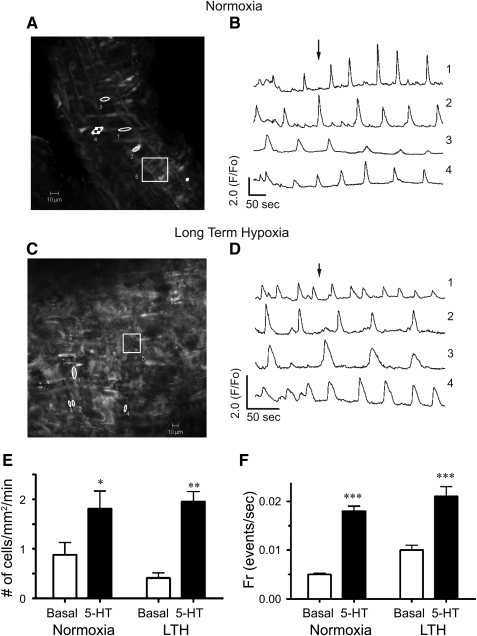 FIG. 7.