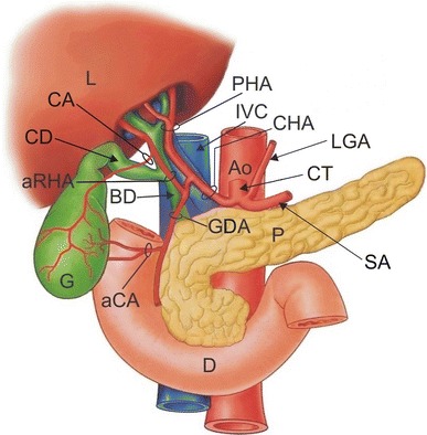 Fig. 2