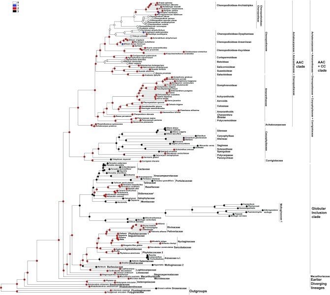 Fig 13