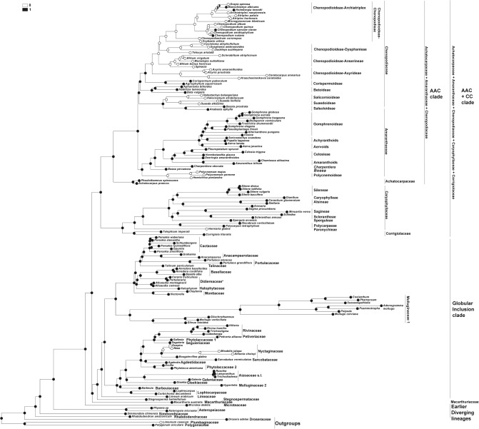 Fig 11