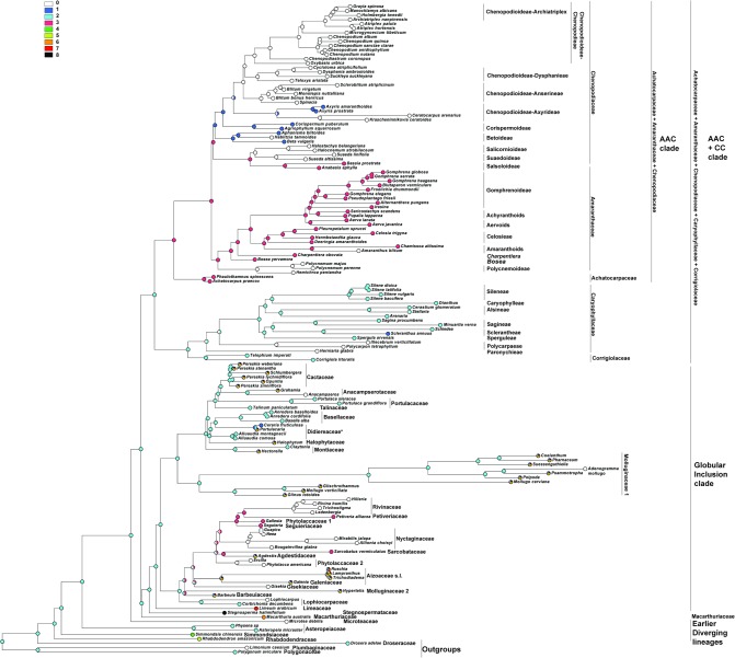 Fig 12