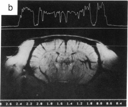 graphic file with name pnas01049-0373-a.jpg